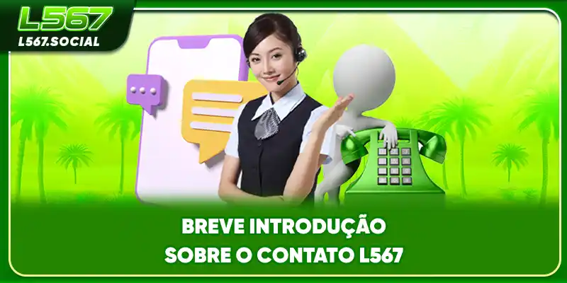 Breve introdução sobre o contato L567