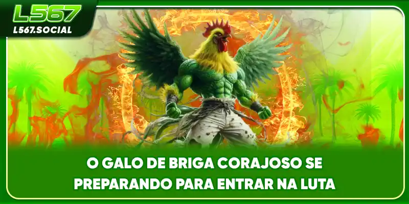 O galo de briga corajoso se preparando para entrar na luta