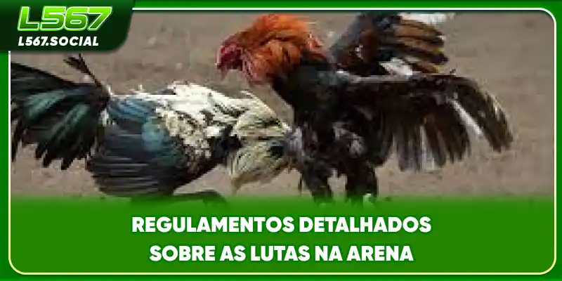 Regulamentos detalhados sobre as lutas na arena
