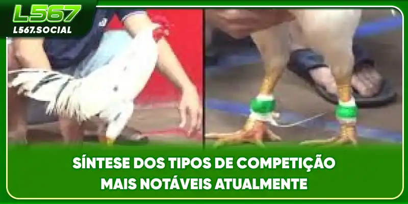 Síntese dos tipos de competição mais notáveis atualmente